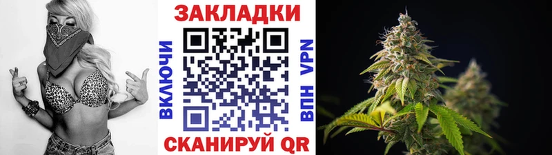 МЕФ Чаплыгин