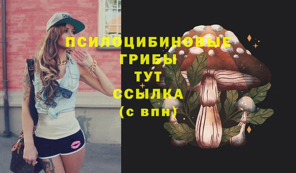 винт Лиски