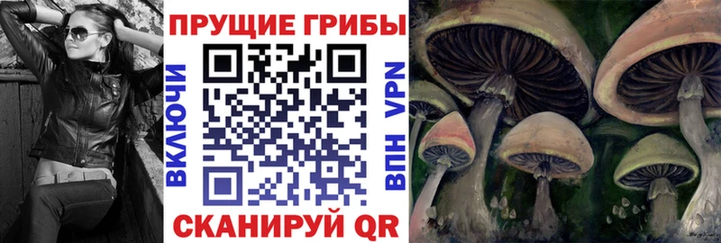 Псилоцибиновые грибы мухоморы Чаплыгин